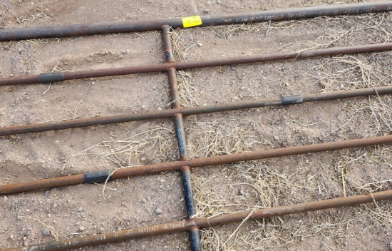 (1) 12 Ft Heavy Duty Gate