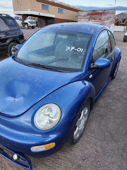 VolksWagon Bug