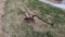 1 Bottom Antique Plow