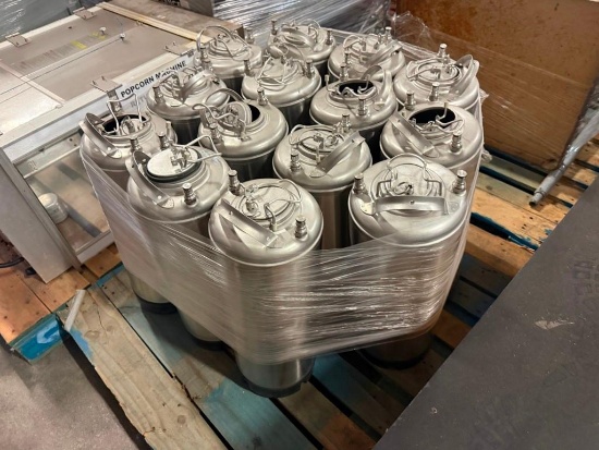 Qty. of (14) AEB 5 Gallon Ball Lock Kegs