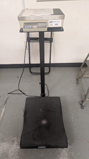 Dual Scale