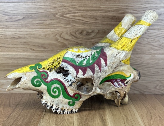 Giraffe Skull Painted
