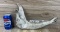 Cow Jaw Bone Taxidermy Oddity
