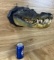 Rare Caiman Alligator Crocodile Taxidermy Head Mount Oddity