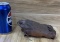 Taxidermy Toad Vintage Oddity Frog