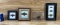 Framed Mounted Insects Taxidermy Oddity