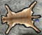 Taxidermy African Cerval Cat Skin Rug Oddity