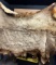 Taxidermy Elk Hide Large Soft Tanned Skin Oddity