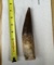 Extra Large Fossilized Spinosaurus Tooth #1 - 5+ inches