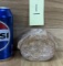 Fossilized Plesiosaurus Vertabae - Loch Ness Monster #1
