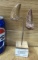 Fossilized Carcharodontosaurus Teeth With Stand