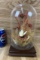 Mounted Taxidermy Butterfly in Glass - Floral Scene #1