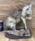 RARE - Taxidermy Mount Patagonian Mara/Rabbit South American