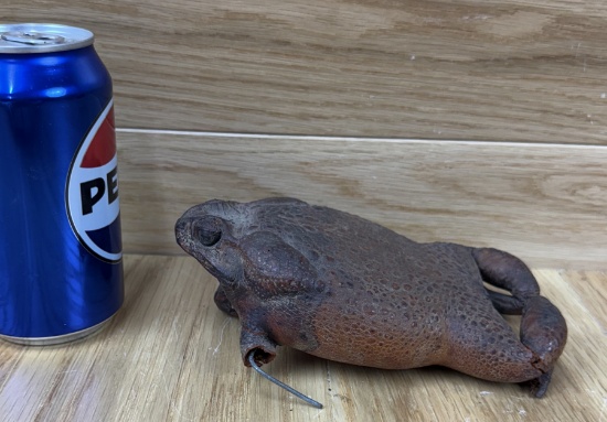 Taxidermy Toad Vintage Oddity Frog