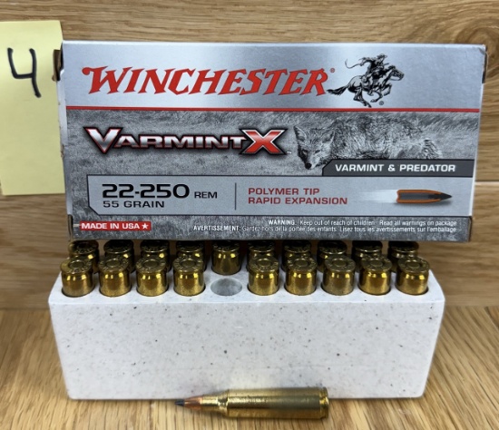 Winchester Varmint X 22-250 55 Grain #4
