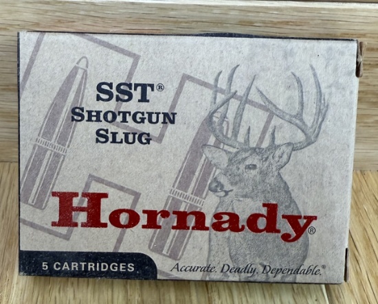 Hornady Shotgun 20 GA 2 3/4â€? 250 gr SST SLUG