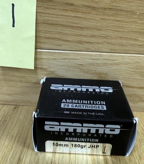 AMMO Incorporated 10mm 180gr JHP #1