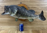 Taxidermy Skin Mount Bass / Fish Vintage #1
