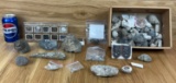 Lot of Fossils - Snails, Fern Plate Etc. See Pictures for details
