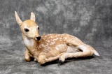 Taxidermy Whitetail Deer Fawn Oddity