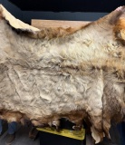 Taxidermy Elk Hide Large Soft Tanned Skin Oddity