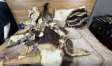 Craft Furs - Zebra, Gemsbok, and more Taxidermy Oddity