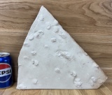 Fossilized Amphibian Footprint Plate