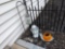 Outdoor Decor/ornamentals