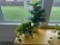 Artificial Potted Plants