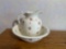 Floral Wash Basin and Pitcher Set