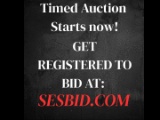 TIMED AUCTION STARTING NOW AT: SESBID.COM