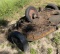 Mower