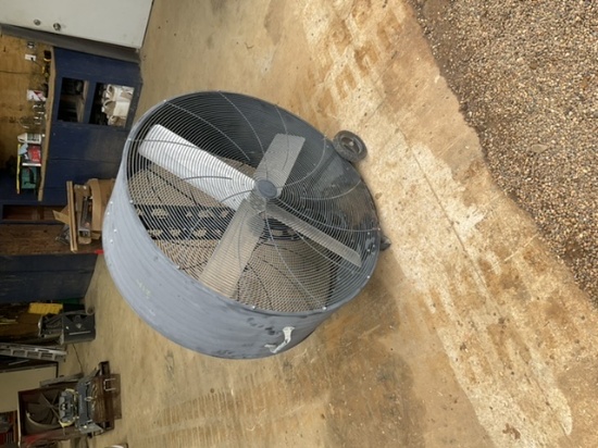 Fan