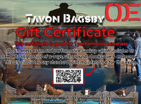 OUTLAW EQUINE $1000 OFF