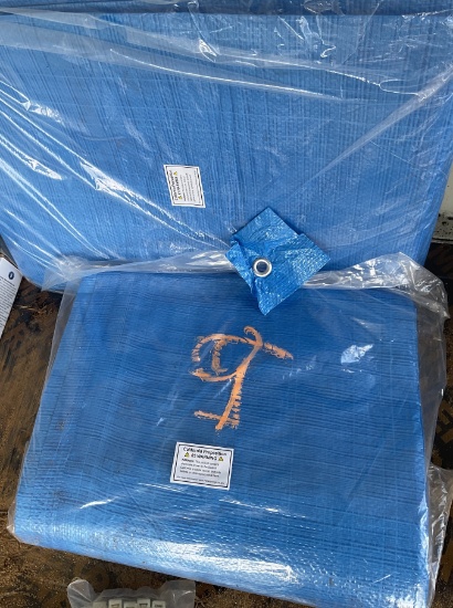 12 x16 Tarp