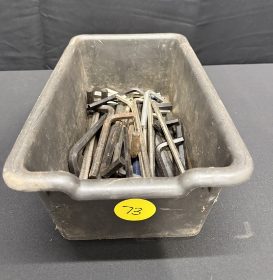 Huge Lot of Assorted Size Allen Keys Allen Wrenches