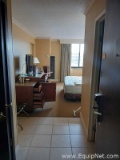Lot of Nineteen Guest Rooms and Contents