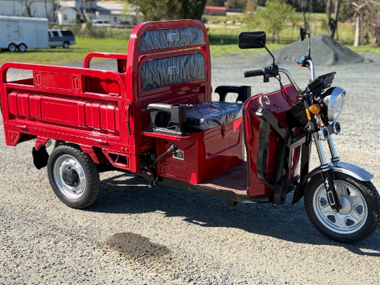 IRET 13 Electric Tri-Cycle