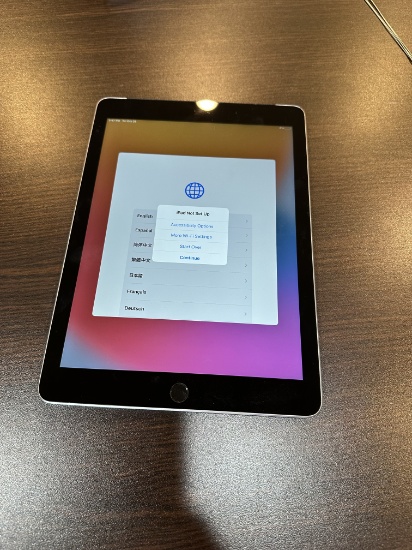 Ipad Celluar & Wifi