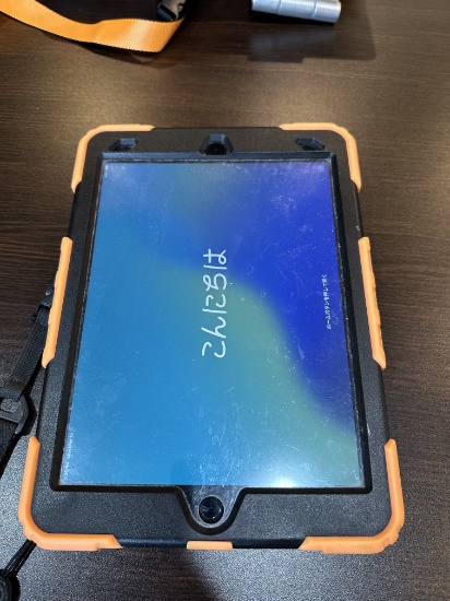 Ipad Celluar & Wifi