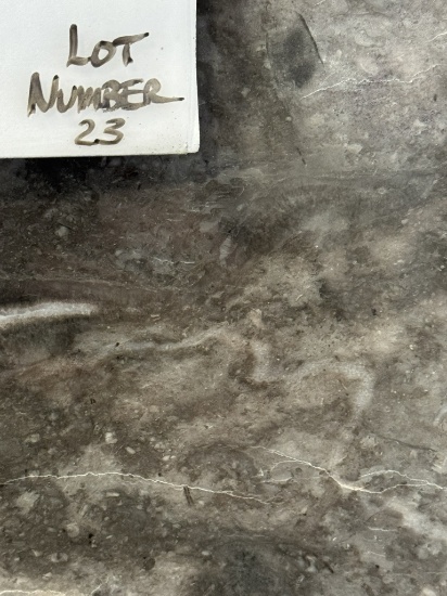 Bois Jordan Marble, 1", 119"x44"