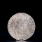 USA Morgan Dollar 1890 Coin