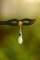 An Exquisite Sterling Silver-Gold Plated Inlaid White Jade Ebony Hairpin