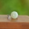 An Exquisite Sterling Silver Inlaid White Jade Ring
