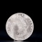USA Morgan Dollar 1882 Coin