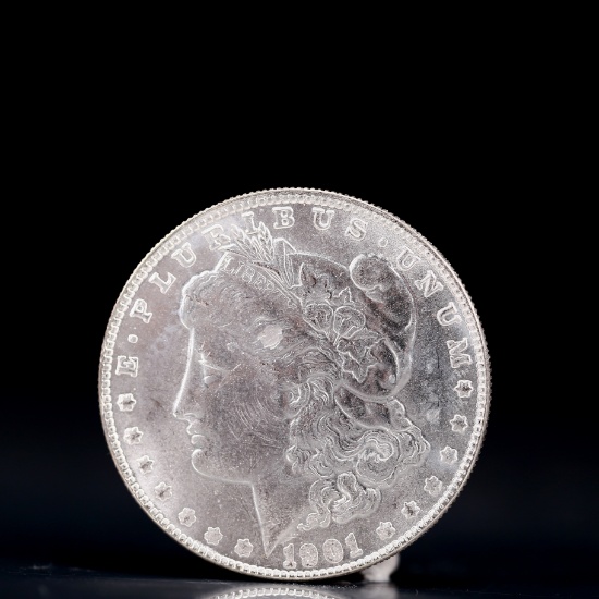 USA Morgan Dollar 1901 Coin