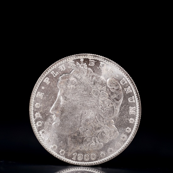USA Morgan Dollar 1900 Coin