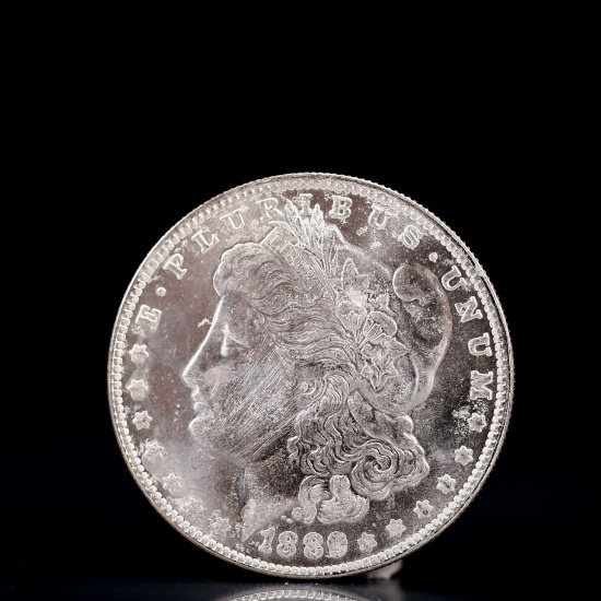 USA Morgan Dollar 1889 Coin
