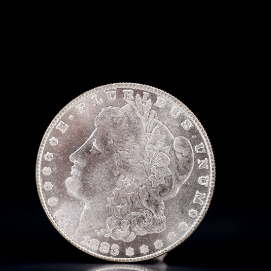 USA Morgan Dollar 1883 Coin