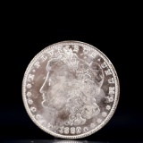 USA Morgan Dollar 1889 Coin